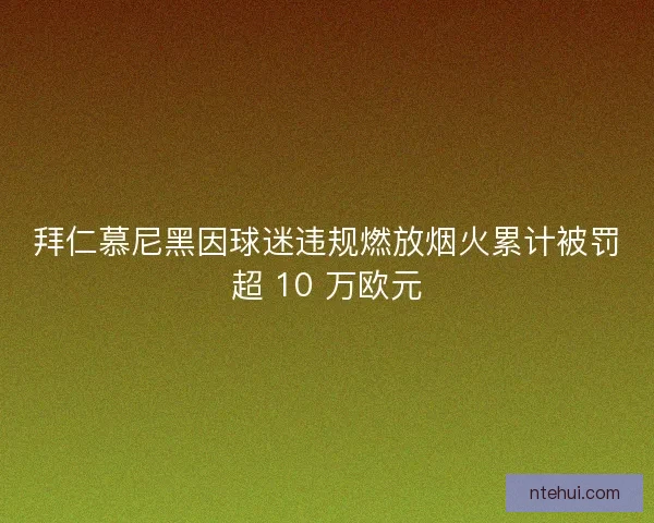 拜仁慕尼黑因球迷违规燃放烟火累计被罚超 10 万欧元
