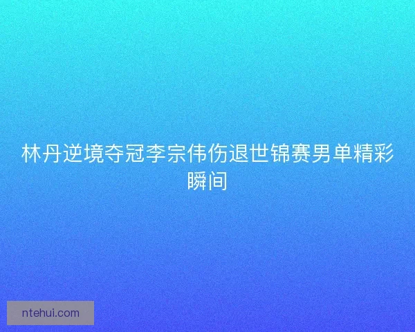 林丹逆境夺冠李宗伟伤退世锦赛男单精彩瞬间